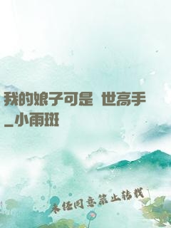 我的娘子可是絕世高手