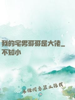 我的宅男哥哥是大佬