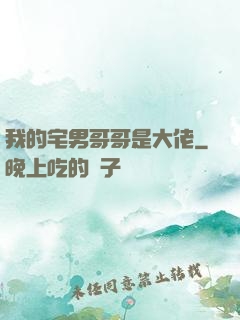 我的宅男哥哥是大佬