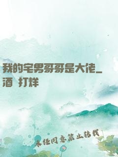 我的宅男哥哥是大佬
