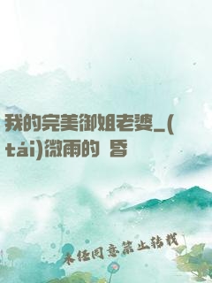 我的完美御姐老婆