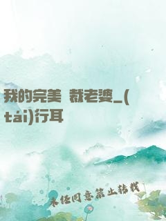 我的完美總裁老婆