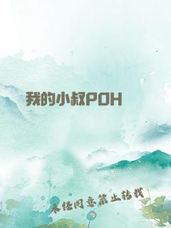 我的小叔POH