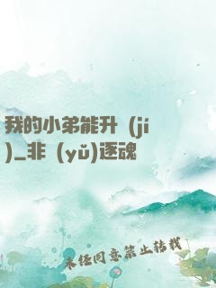 我的小弟能升級(jí)