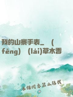 我的山寨手表