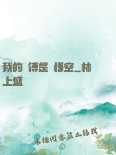 我的師傅是孫悟空