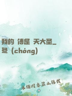 我的師傅是齊天大圣
