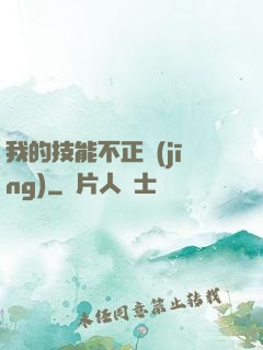 我的技能不正經(jīng)