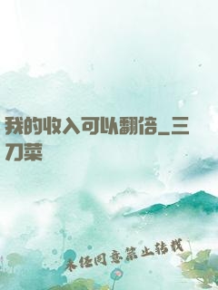 我的收入可以翻倍
