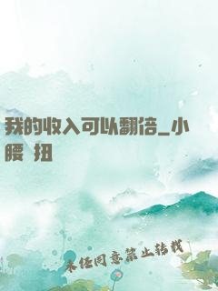 我的收入可以翻倍