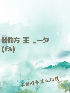 我的方塊王國