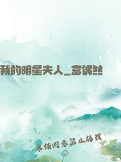 我的明星夫人