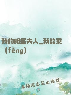 我的明星夫人