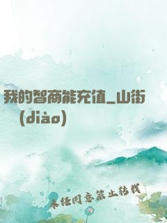我的智商能充值