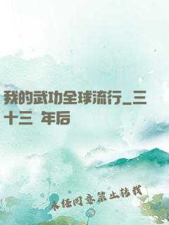 我的武功全球流行