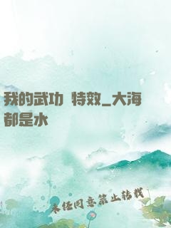 我的武功帶特效