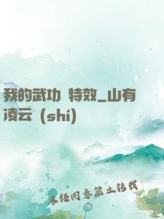 我的武功帶特效