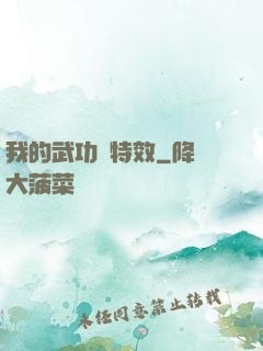 我的武功帶特效