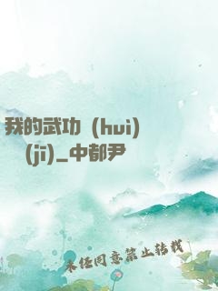 我的武功會(huì)掛機(jī)