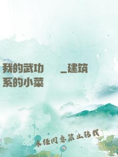 我的武功會掛機