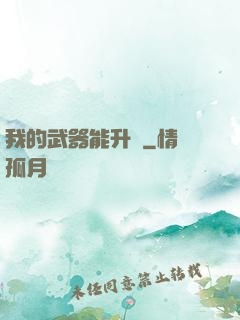 我的武器能升級