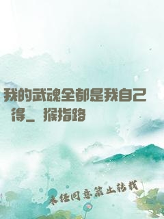 我的武魂全都是我自己變得