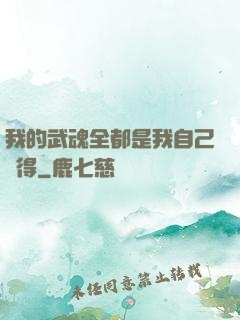 我的武魂全都是我自己變得