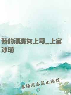 我的漂亮女上司