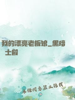 我的漂亮老板娘