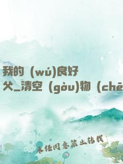 我的無(wú)良好師父