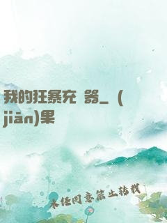 我的狂暴充電器
