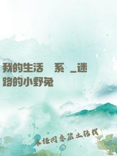 我的生活體驗系統