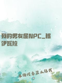我的男友是NPC