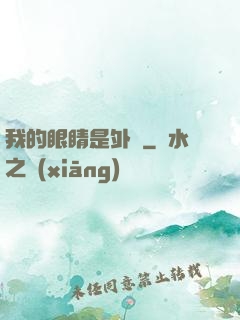 我的眼睛是外掛