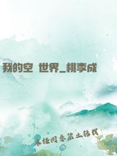我的空島世界
