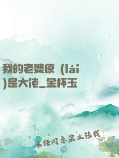 我的老婆原來(lái)是大佬