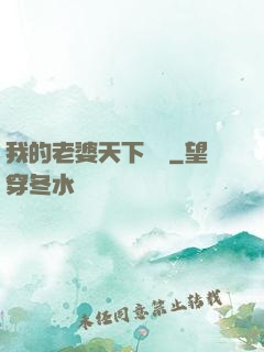 我的老婆天下無敵