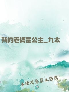 我的老婆是公主