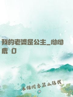 我的老婆是公主