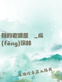 我的老婆是劍靈