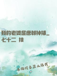 我的老婆是唐朝神捕