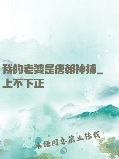 我的老婆是唐朝神捕