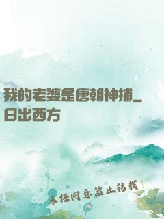 我的老婆是唐朝神捕