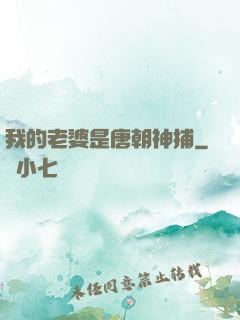 我的老婆是唐朝神捕