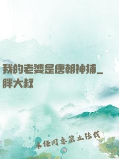 我的老婆是唐朝神捕