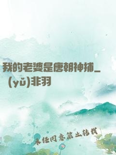 我的老婆是唐朝神捕