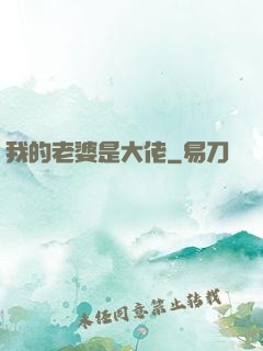 我的老婆是大佬