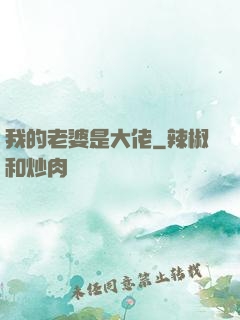 我的老婆是大佬