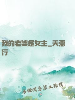 我的老婆是女主