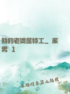 我的老婆是特工